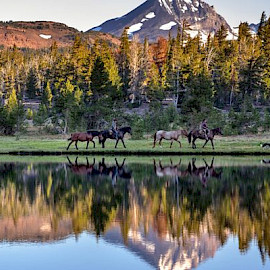 (c) Sonja Endlweber und Günter Wamser