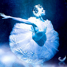 (c)  P.T.F GmbH / Konzertagentur Friedmann