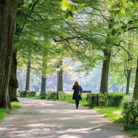 (c) Johannes C. Elze